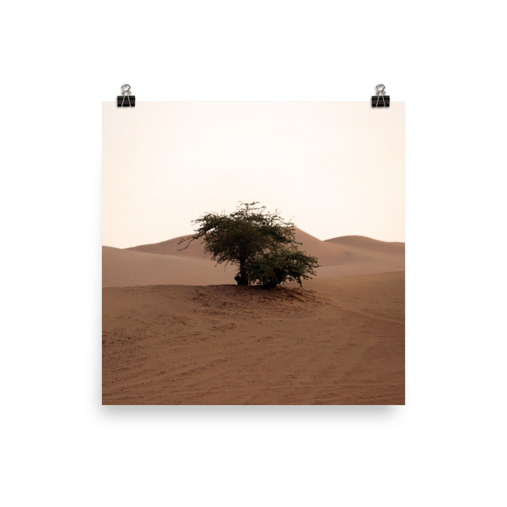 Huacachina photo print