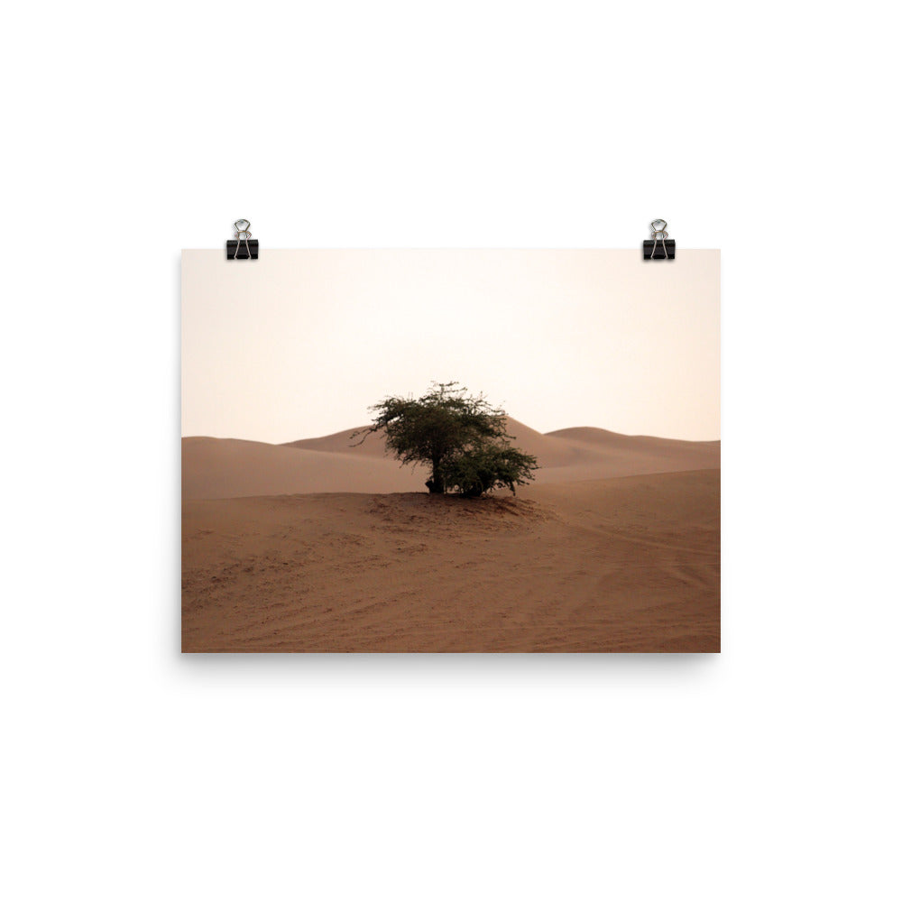 Huacachina photo print