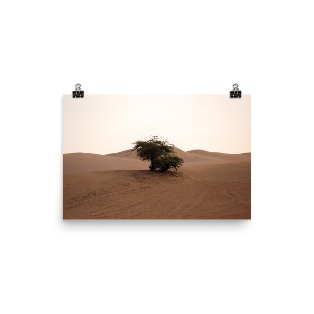 Huacachina photo print