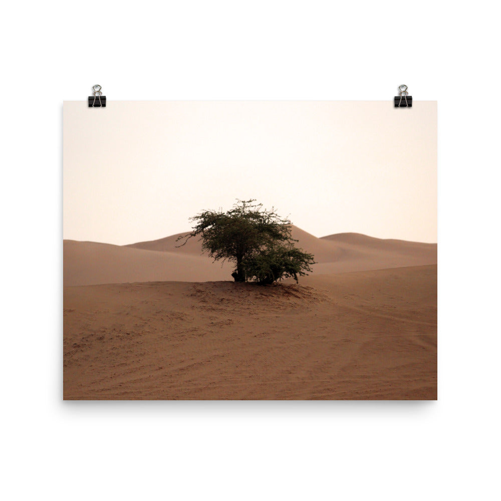 Huacachina photo print