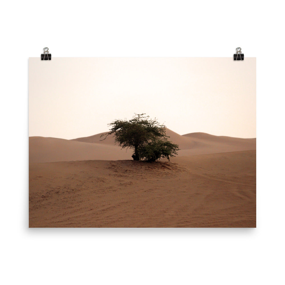 Huacachina photo print